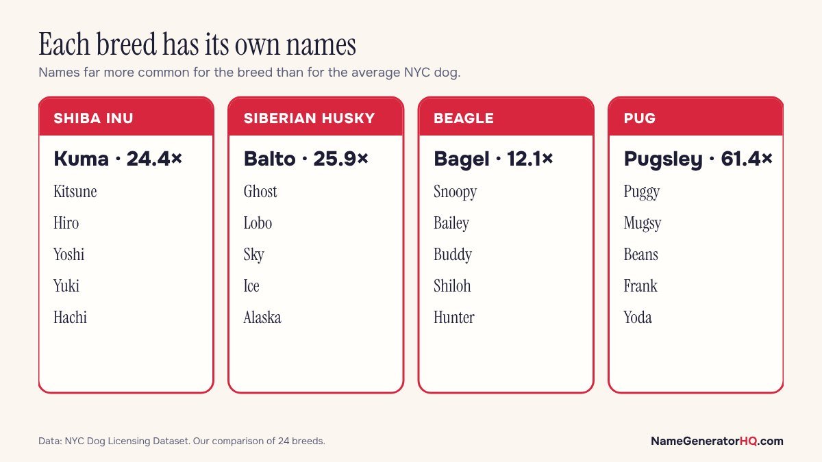 Cards showing favourite names for four breeds